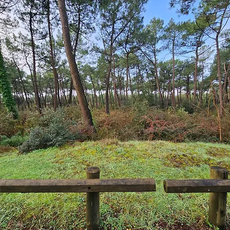 Neuve 6 Pers., Animaux Sur Demande, Proche Et Foret - Fr-1-476-255 Holiday home