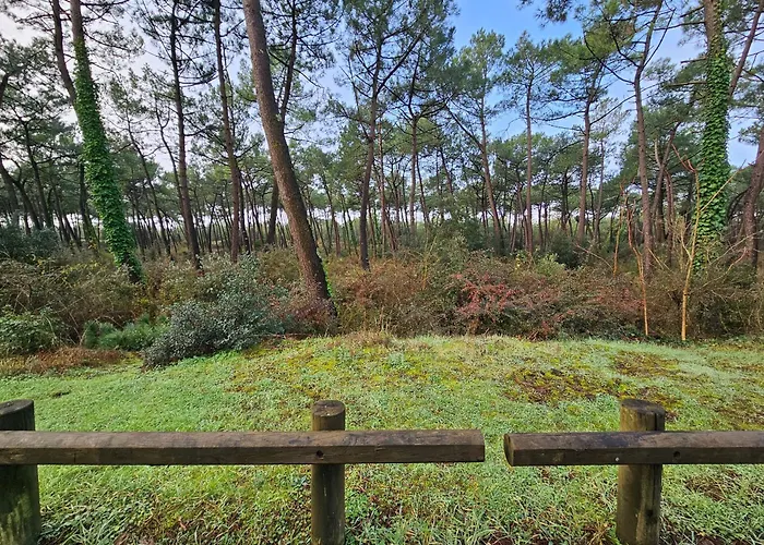 Neuve 6 Pers., Animaux Sur Demande, Proche Et Forêt - Fr-1-476-255 Hébergement de vacances